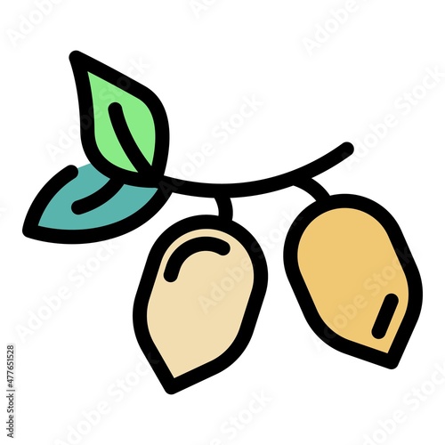 Bio jojoba seeds icon. Outline bio jojoba seeds vector icon color flat isolated