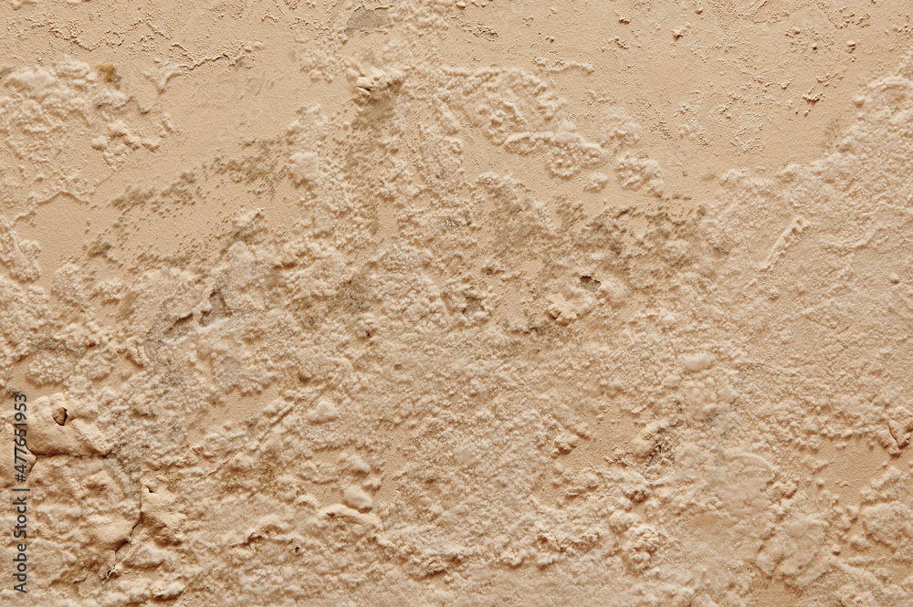 Excessive moisture causes mold and peeling paint walls, such as rainwater leaks. Excessive moisture causes mold and peeling paint walls, such as rainwater leaks.
