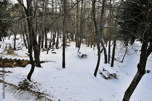 Sierra de Baza Natural Park in Granada, Andalusia - Spain.