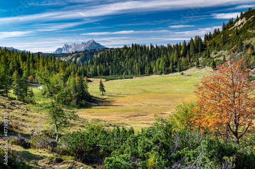Panoramic view of Hochschwab village Hainzleralm, Autumn vibes in mountain range Hochschwab, Styria, Austrian Alps, Europe. Remote place no people. Freedom and wilderness.  photo