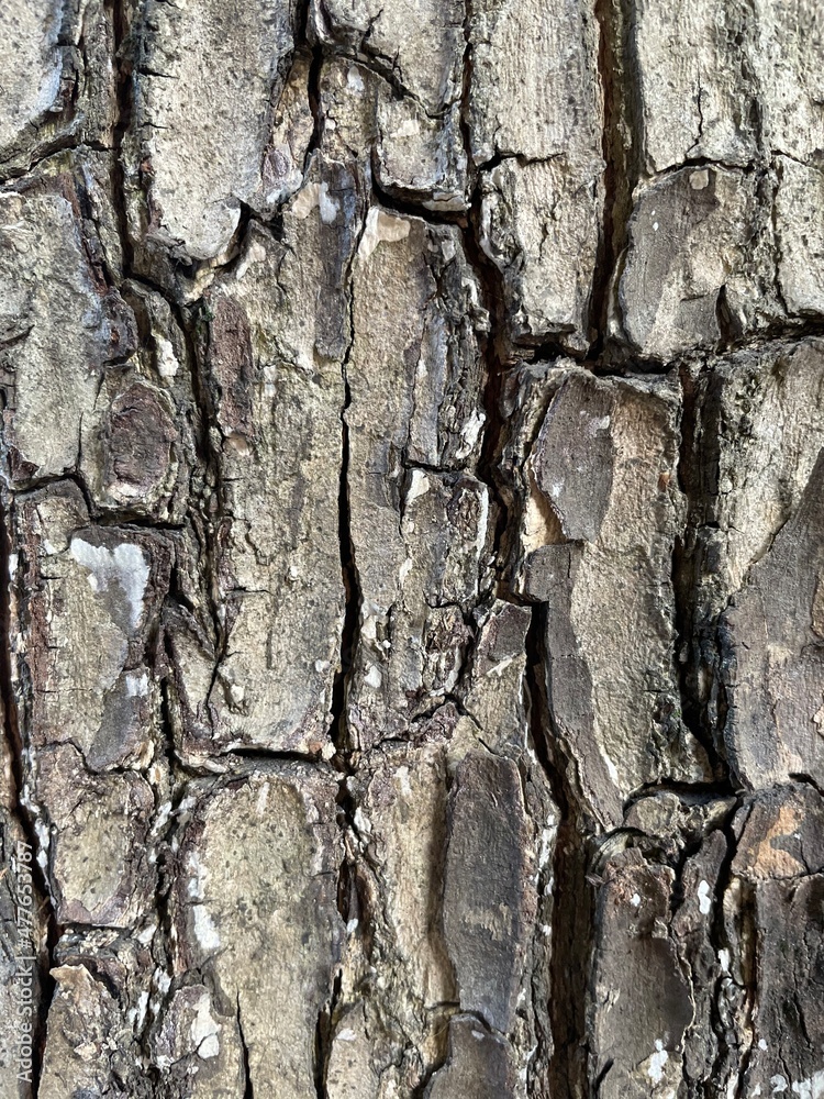 texture texture
