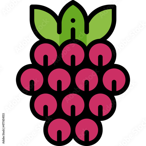 raspberry filled outline icon