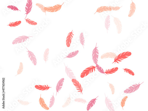 Flying feather elements airy vector design.