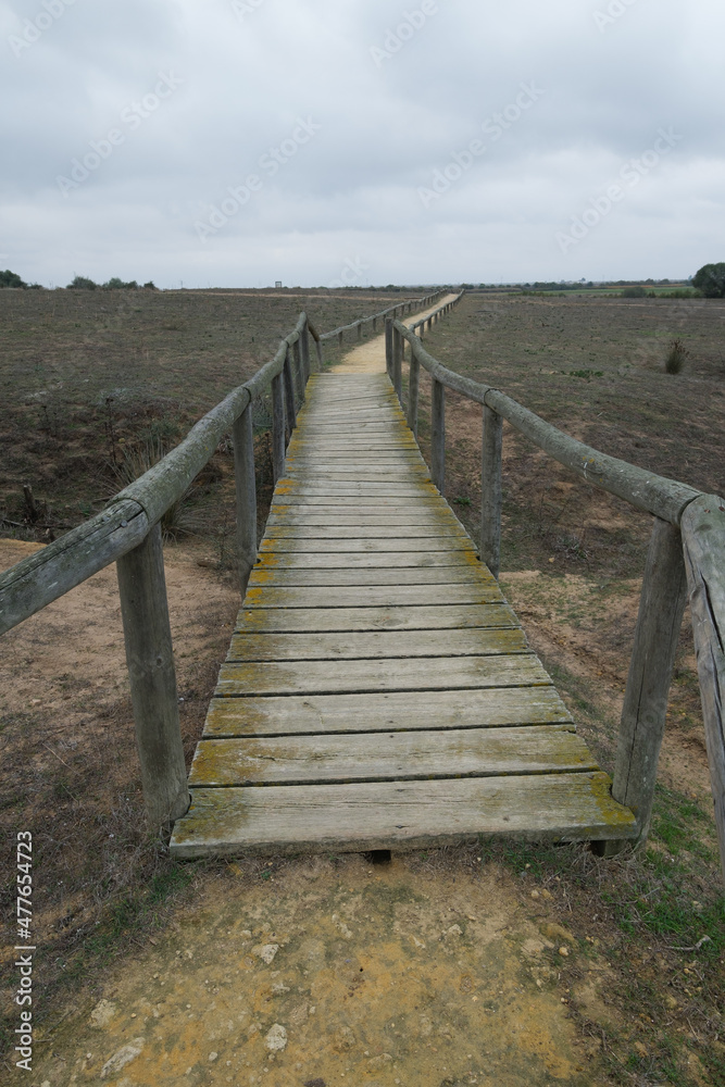 Obraz premium boardwalk in the countryside