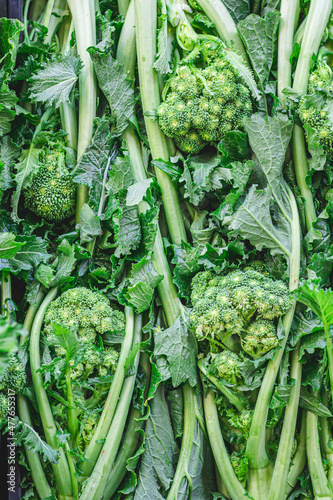 Vászonkép Cime di rapa, rapini or broccoli rabe in a field, green cruciferous vegetable, v