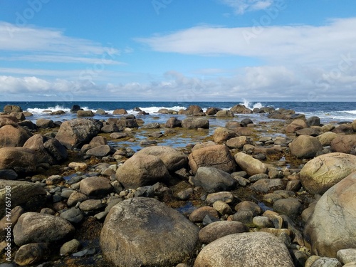 Newfoundland Coast