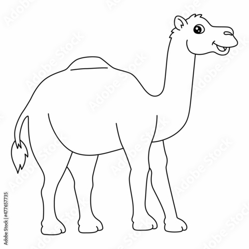 Dromedary Coloring Page Isolated for Kids