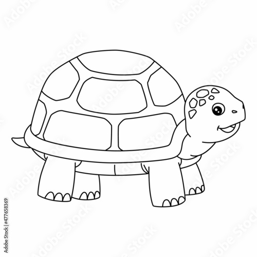 Turtle Coloring Page Isolated for Kids