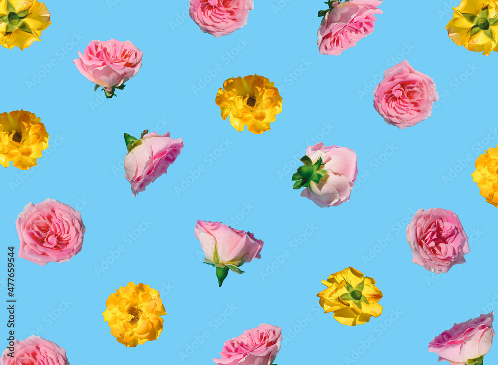 Creative pattern made with pastel pink and yellow rose flowers on blue background. Minimal spring concept. Valentines Day or 8 March idea.