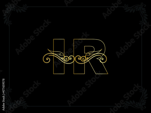 Luxury IR logo, Creative Slime ir Luxury Letter Logo icon Vector Image Design For Your Luxury Business