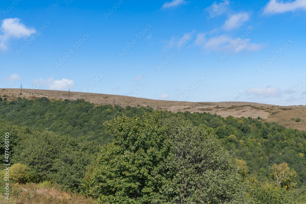 Fototapeta premium Mountain landscape with green forest and blue sky.