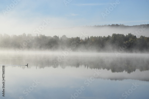 A fog on the lake, Sainte-Apolline, Québec, Canada