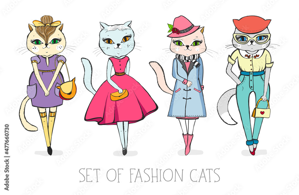 Set of fashion dressed cats on white isolates background Set of fashion dressed cats on white isolates background