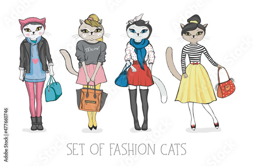 Set of fashion dressed cats on white isolates background