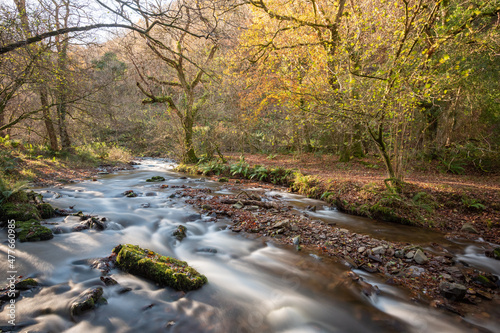 Long exposure of the river Horner flowing through Horner woods in Somerset photo