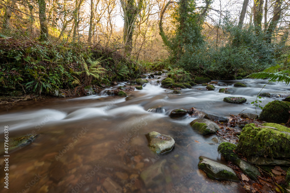 Long exposure of the river Horner flowing through Horner woods in Somerset Long exposure of the river Horner flowing through Horner woods in Somerset