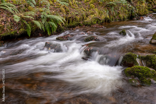 Long exposure of the river Horner flowing through Horner woods in Somerset