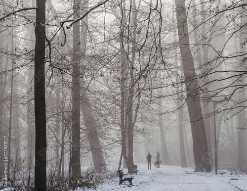 ludzie spacerują po parku we mgle z psem