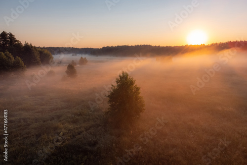 Bright morning with light fog in the valley near the river. Vibrant landscape of nature at sunrise © Vitalii