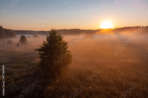 Bright photo of valley in fog and a rising sun. Morning landscape in the countryside