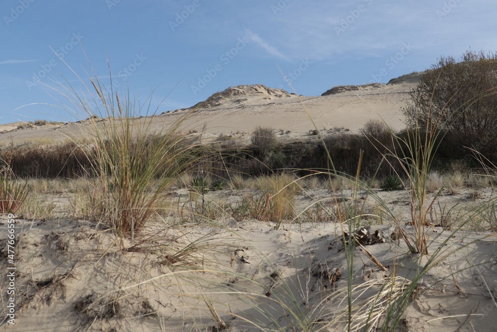 Dune du Pyla au bassin d’Arcachon, la plus haute dune d’Europe Dune du Pyla au bassin d’Arcachon, la plus haute dune d’Europe