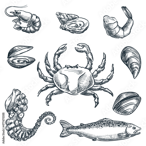 Seafood and fresh raw fish set. Hand drawn vector sketch illustration. Sea food restaurant or market design elements