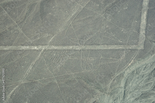 Views of Nasca lines from the air