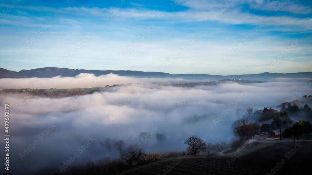 Layers of fog color a winter day