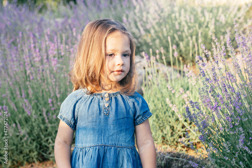 Little girl 3-4 with dark hair in denim dress in sun stands among large bushes of lilac lavender