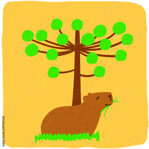 Brazilian capybara with araucaria tree hand drawing vector