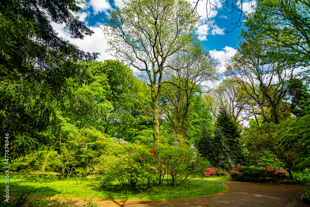 Beautiful Garden with blooming trees during spring time