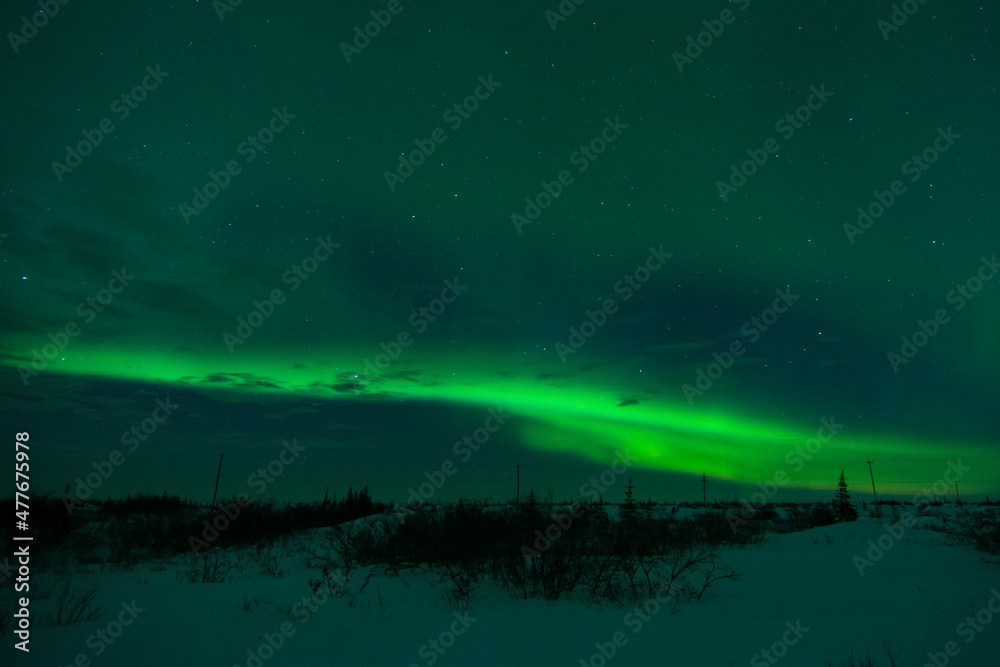 A thin band of northern lights or aurora borealis over the frozen tundra and shrubs near Churchill, Manitoba, Canada on a partly cloudy night