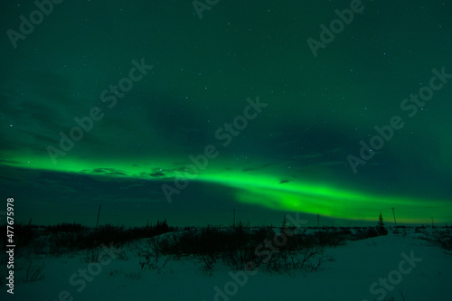 A thin band of northern lights or aurora borealis over the frozen tundra and shrubs near Churchill, Manitoba, Canada on a partly cloudy night © Wandering Bear