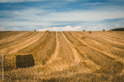 Harvesting a cereal Field