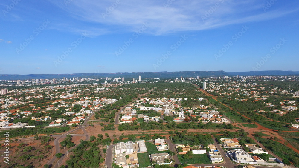 Fototapeta premium Palmas por cima