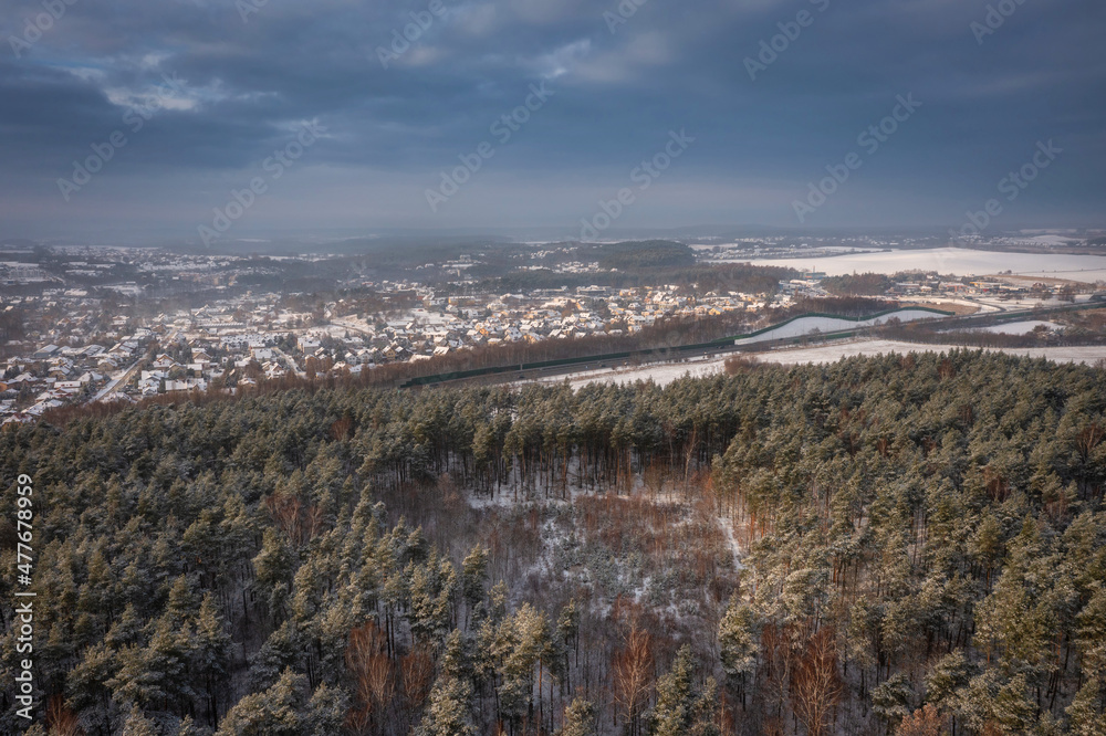Aerial landscape of the snowy forest at winter, Poland.