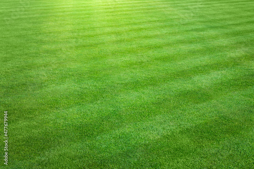 An landscape view of a large patch of some freshly cut, healthy, green grass mowed in a checkerboard pattern.