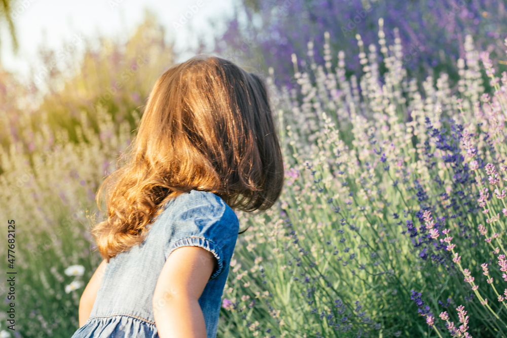 Obraz premium Little girl 3-4 with dark hair in denim dress in sun sniffs large bush of lilac lavender