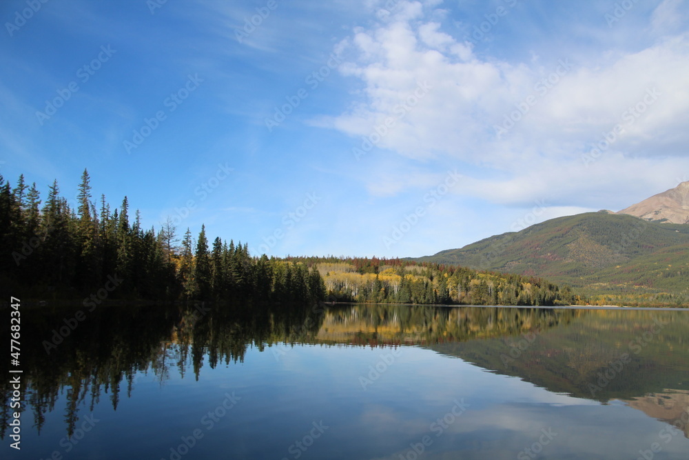 reflection of trees in the lake, Jasper National Park, Alberta