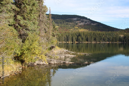 Trees On Lakes Edge  Jasper National Park  Alberta