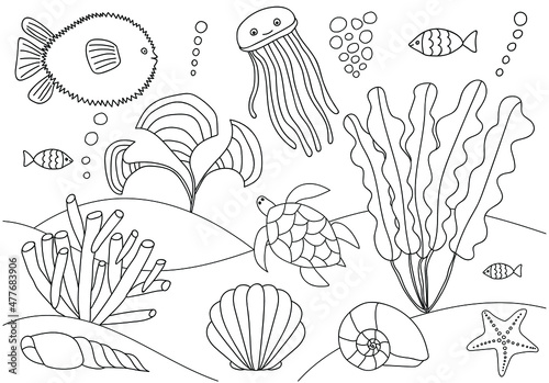 Coloring page with sea animals in underwater world with algae, bubbles isolated. Coloring book for kids and adults. Ball fish, jellyfish, reef fish, turtle, shell, seaweed, sea grass, starfish.