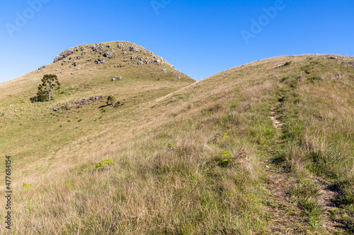 Trail in the field to the mountain