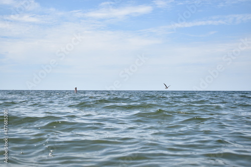 Bird Flying Low Over Water © Alex