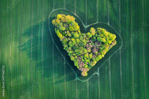 A heart, a grove, a field, Valentine's Day