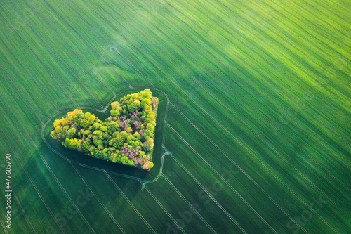 A heart, a grove, a field, Valentine's Day © MARCIN