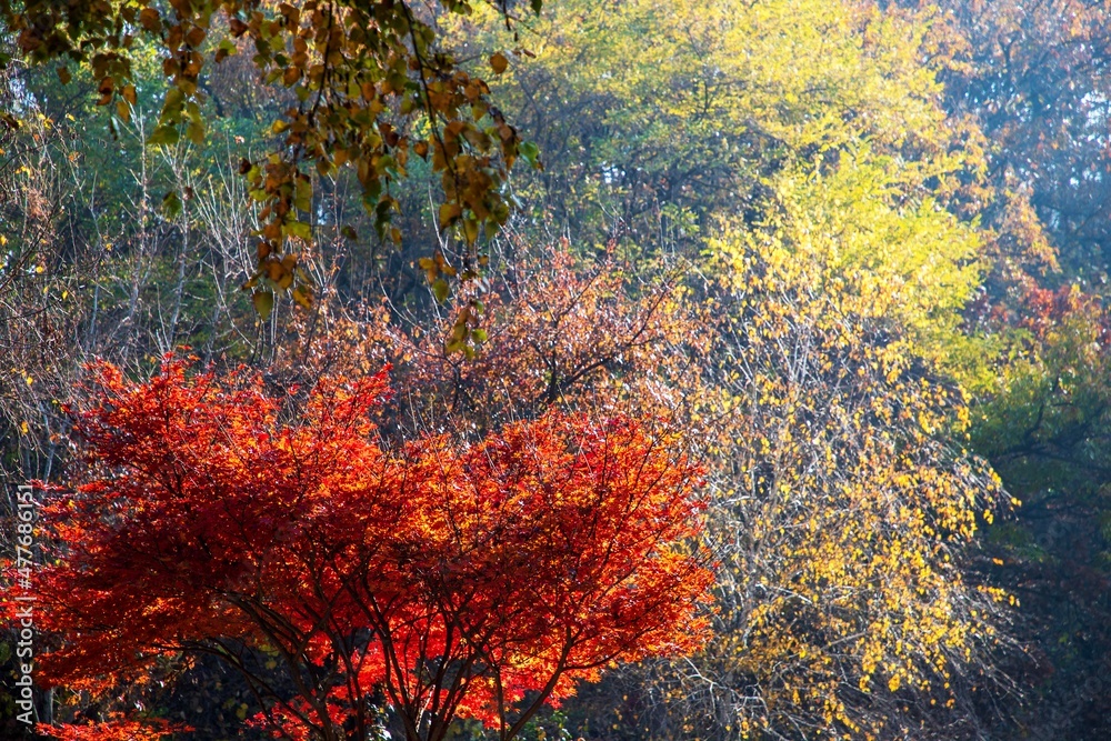 가을