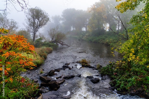 Foggy morning by the river 