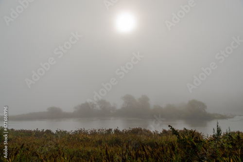 Foggy morning by the river 