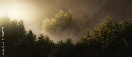 Green tree forest with fog on a mountain. 3d Rendering Artwork. Sunset or Sunrise Glow. Nature Background