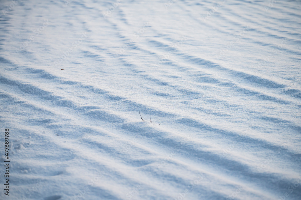 winter, snow on the field, background, winter background, snowy texture winter, snow on the field, background, winter background, snowy texture